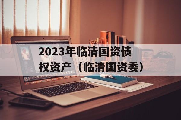 2023年临清国资债权资产（临清国资委）