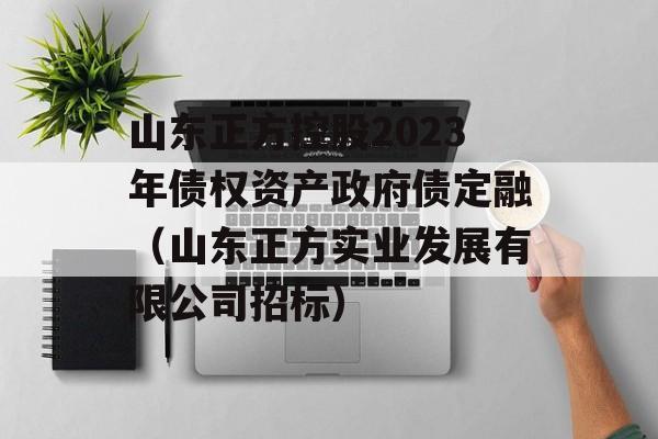 山东正方控股2023年债权资产政府债定融（山东正方实业发展有限公司招标）