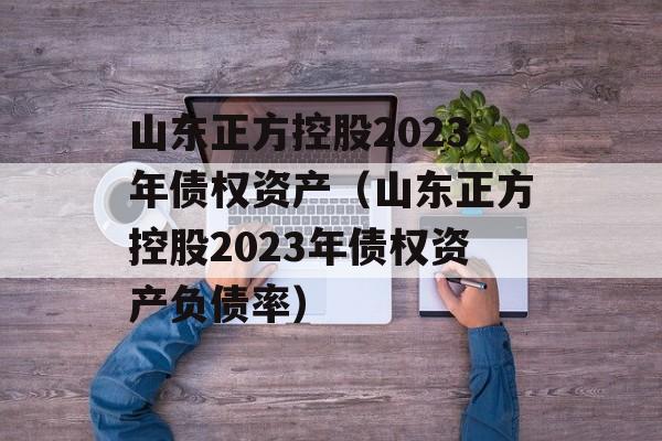 山东正方控股2023年债权资产（山东正方控股2023年债权资产负债率）