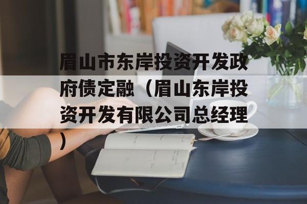 眉山市东岸投资开发政府债定融（眉山东岸投资开发有限公司总经理）