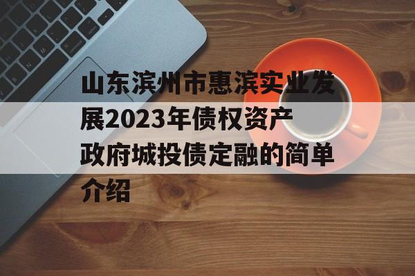 山东滨州市惠滨实业发展2023年债权资产政府城投债定融的简单介绍