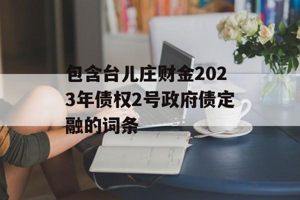 包含台儿庄财金2023年债权2号政府债定融的词条