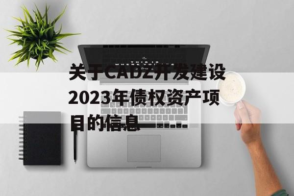 关于CADZ开发建设2023年债权资产项目的信息