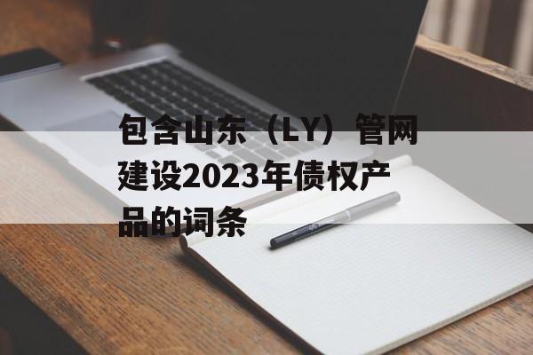 包含山东（LY）管网建设2023年债权产品的词条