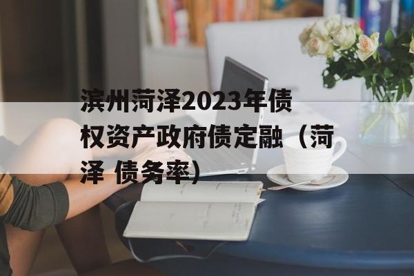 滨州菏泽2023年债权资产政府债定融（菏泽 债务率）