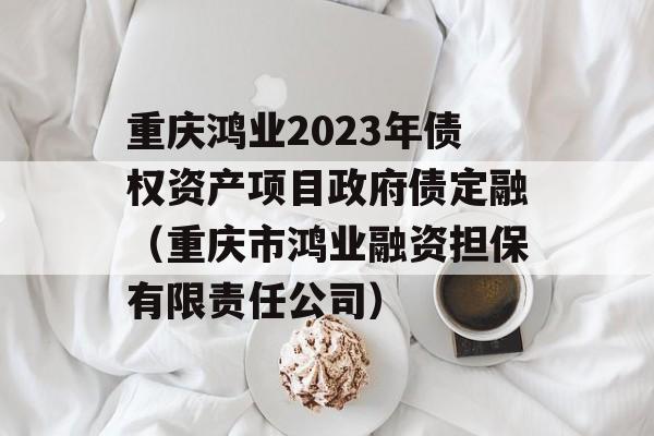 重庆鸿业2023年债权资产项目政府债定融（重庆市鸿业融资担保有限责任公司）