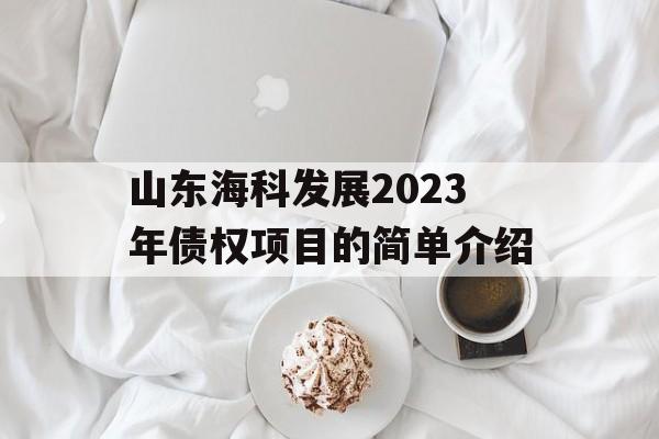 山东海科发展2023年债权项目的简单介绍