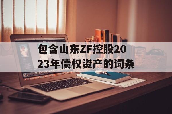 包含山东ZF控股2023年债权资产的词条