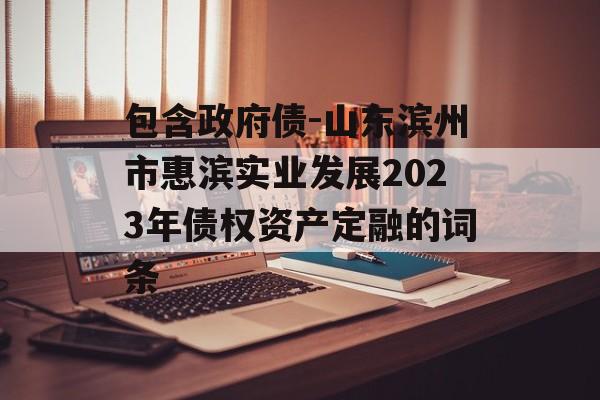 包含政府债-山东滨州市惠滨实业发展2023年债权资产定融的词条