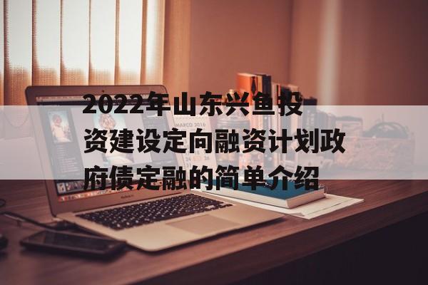 2022年山东兴鱼投资建设定向融资计划政府债定融的简单介绍