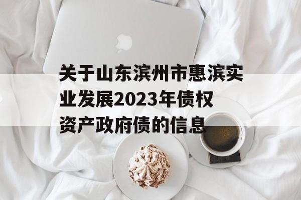 关于山东滨州市惠滨实业发展2023年债权资产政府债的信息