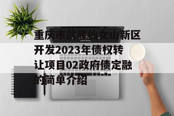 重庆市武隆仙女山新区开发2023年债权转让项目02政府债定融的简单介绍