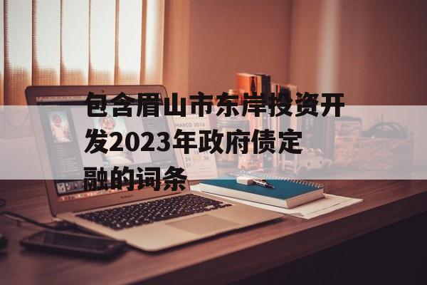 包含眉山市东岸投资开发2023年政府债定融的词条