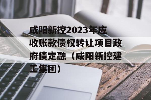 咸阳新控2023年应收账款债权转让项目政府债定融（咸阳新控建工集团）