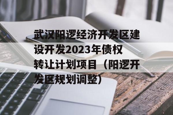 武汉阳逻经济开发区建设开发2023年债权转让计划项目（阳逻开发区规划调整）