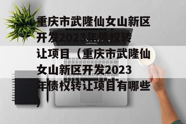 重庆市武隆仙女山新区开发2023年债权转让项目（重庆市武隆仙女山新区开发2023年债权转让项目有哪些）