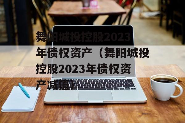 舞阳城投控股2023年债权资产（舞阳城投控股2023年债权资产减值）