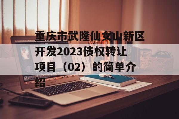 重庆市武隆仙女山新区开发2023债权转让项目（02）的简单介绍