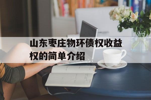 山东枣庄物环债权收益权的简单介绍