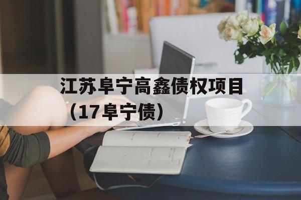 江苏阜宁高鑫债权项目（17阜宁债）