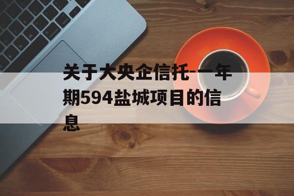 关于大央企信托-一年期594盐城项目的信息