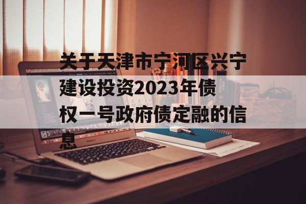 关于天津市宁河区兴宁建设投资2023年债权一号政府债定融的信息