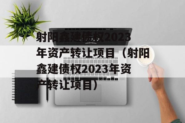 射阳鑫建债权2023年资产转让项目（射阳鑫建债权2023年资产转让项目）