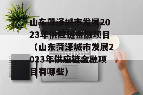 山东菏泽城市发展2023年供应链金融项目（山东菏泽城市发展2023年供应链金融项目有哪些）