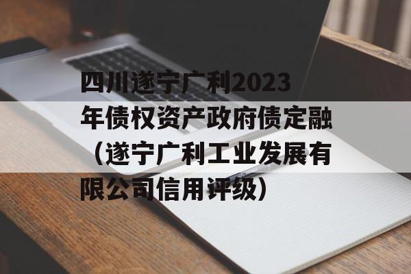 四川遂宁广利2023年债权资产政府债定融（遂宁广利工业发展有限公司信用评级）