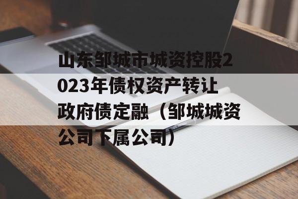 山东邹城市城资控股2023年债权资产转让政府债定融（邹城城资公司下属公司）