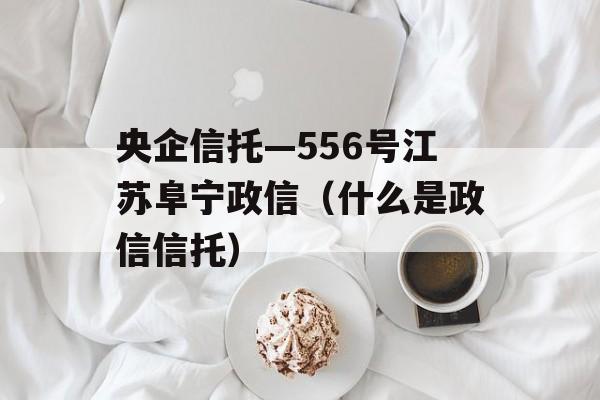 央企信托—556号江苏阜宁政信（什么是政信信托）