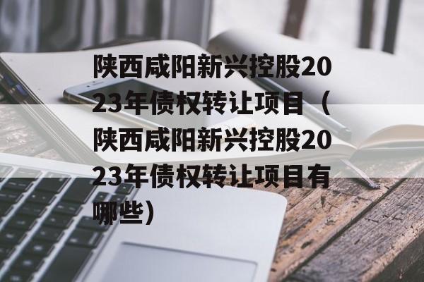 陕西咸阳新兴控股2023年债权转让项目（陕西咸阳新兴控股2023年债权转让项目有哪些）