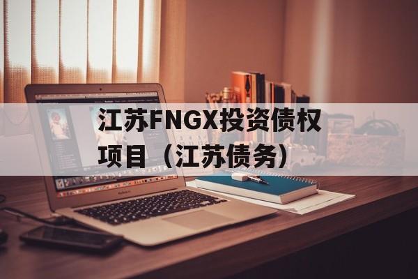 江苏FNGX投资债权项目（江苏债务）