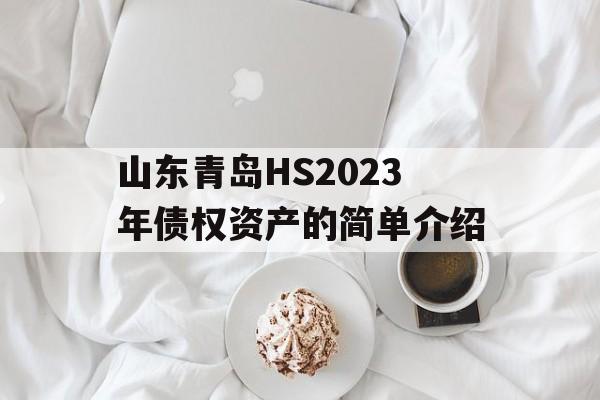 山东青岛HS2023年债权资产的简单介绍