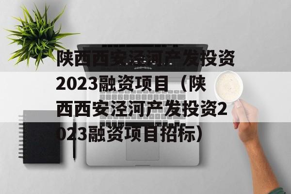 陕西西安泾河产发投资2023融资项目（陕西西安泾河产发投资2023融资项目招标）