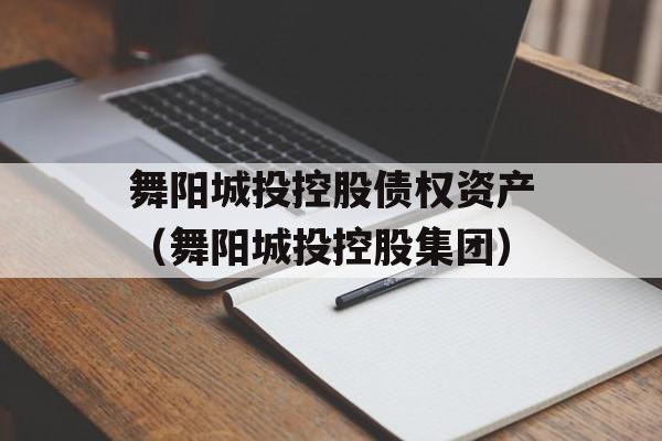 舞阳城投控股债权资产（舞阳城投控股集团）