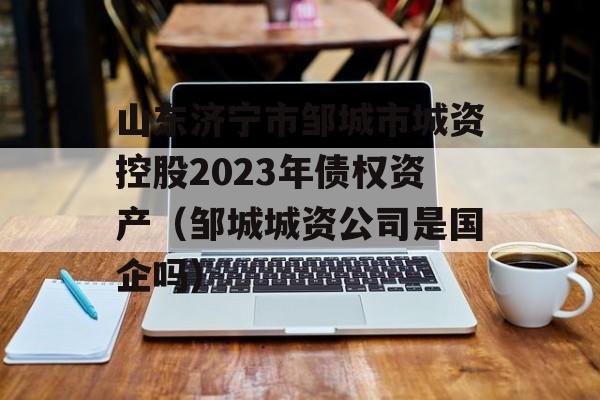 山东济宁市邹城市城资控股2023年债权资产（邹城城资公司是国企吗）