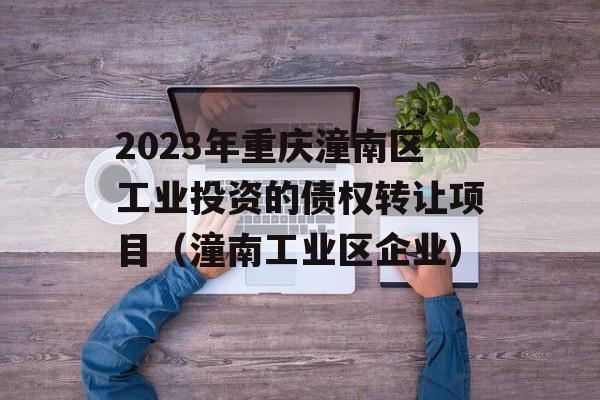 2023年重庆潼南区工业投资的债权转让项目（潼南工业区企业）