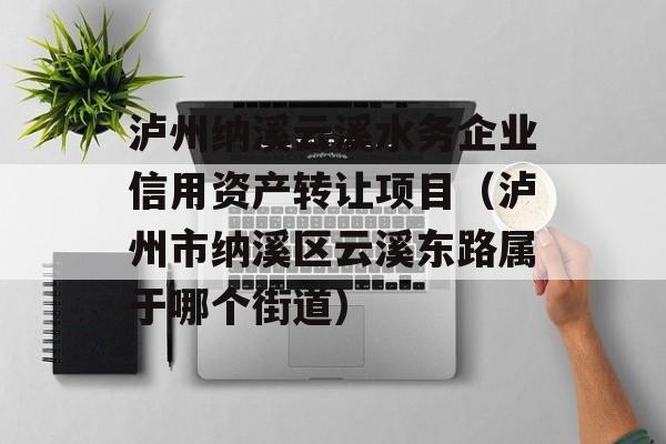 泸州纳溪云溪水务企业信用资产转让项目（泸州市纳溪区云溪东路属于哪个街道）