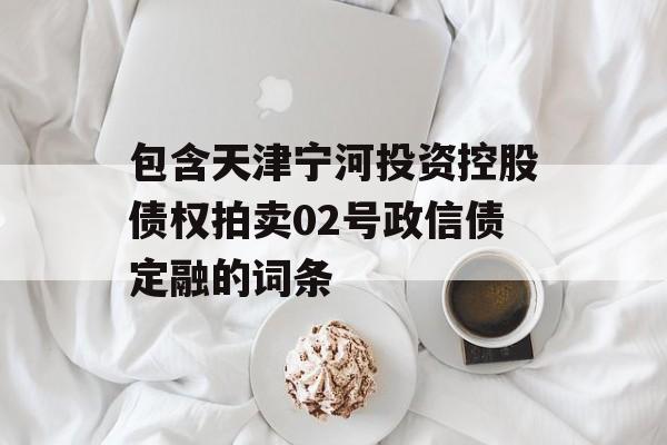 包含天津宁河投资控股债权拍卖02号政信债定融的词条