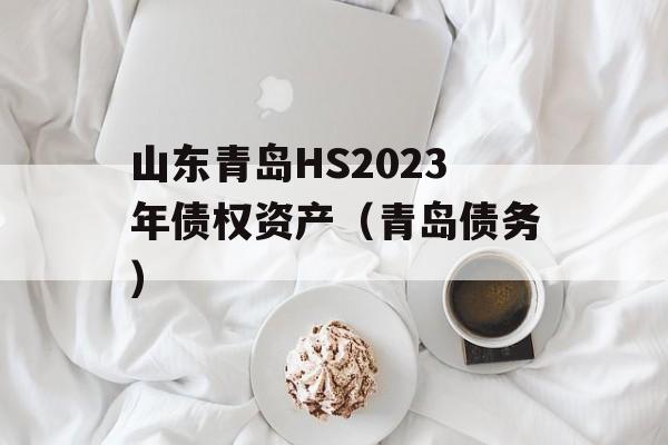 山东青岛HS2023年债权资产（青岛债务）