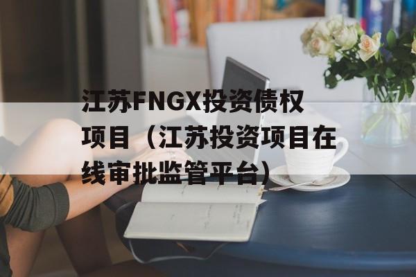 江苏FNGX投资债权项目（江苏投资项目在线审批监管平台）