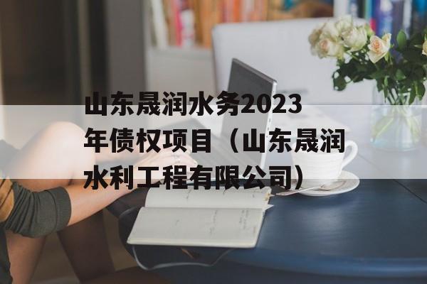 山东晟润水务2023年债权项目（山东晟润水利工程有限公司）