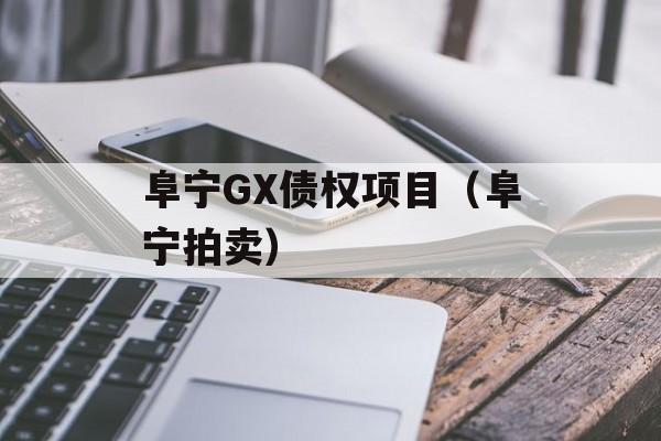 阜宁GX债权项目（阜宁拍卖）