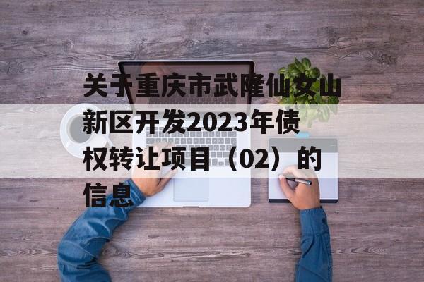 关于重庆市武隆仙女山新区开发2023年债权转让项目（02）的信息