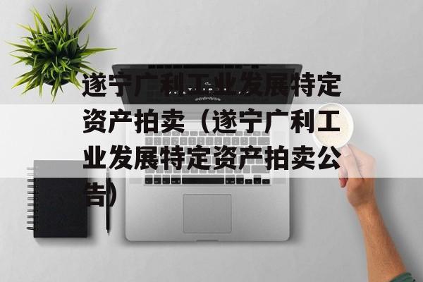 遂宁广利工业发展特定资产拍卖（遂宁广利工业发展特定资产拍卖公告）