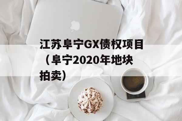 江苏阜宁GX债权项目（阜宁2020年地块拍卖）