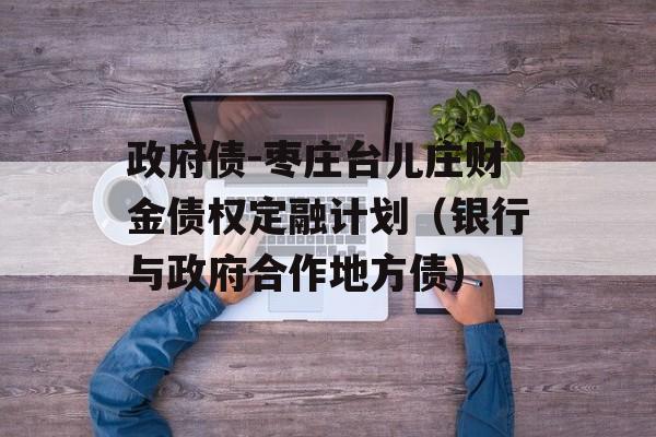 政府债-枣庄台儿庄财金债权定融计划（银行与政府合作地方债）