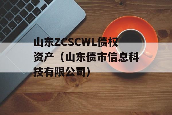 山东ZCSCWL债权资产（山东债市信息科技有限公司）