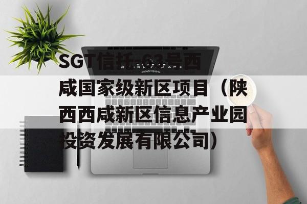 SGT信托-63号西咸国家级新区项目（陕西西咸新区信息产业园投资发展有限公司）